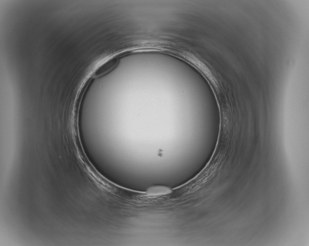 X0000113351485200909221134