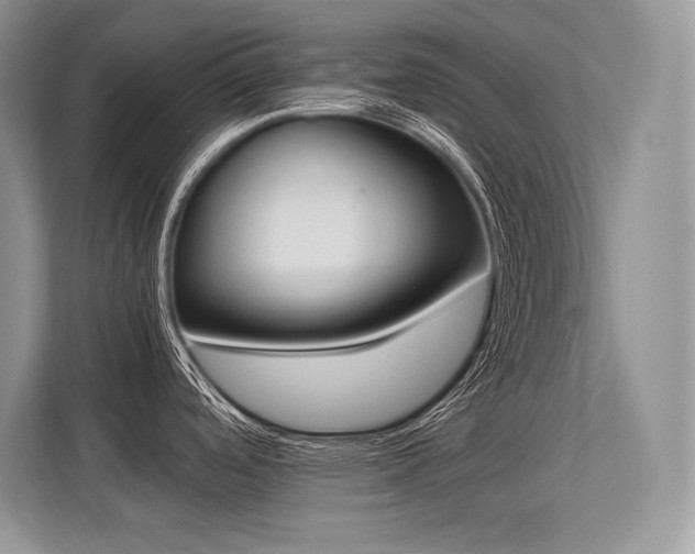 X0000113351488200909221134