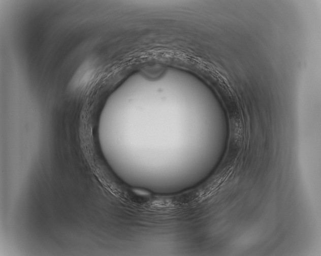 X0000113351489200909221133