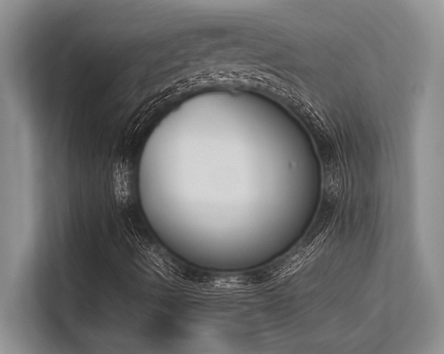 X0000113351490200909221133