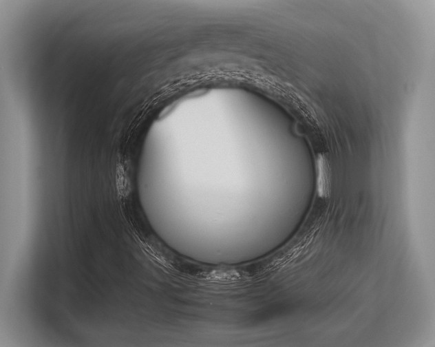 X0000113351491200909221133