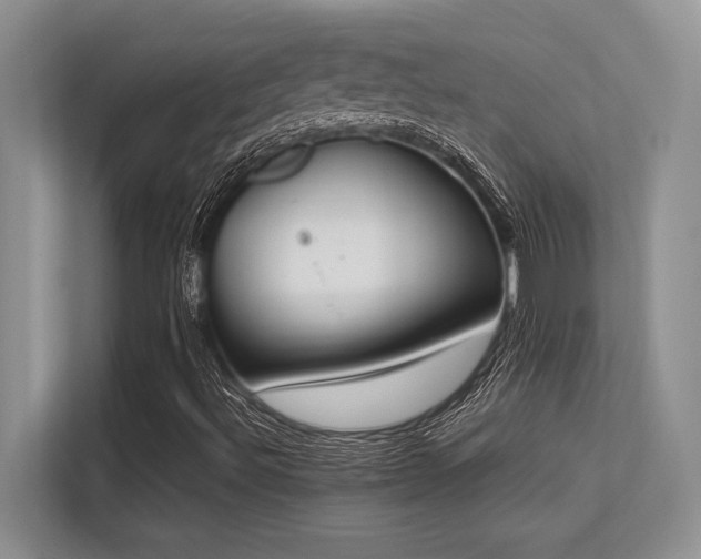 X0000113351492200909221133