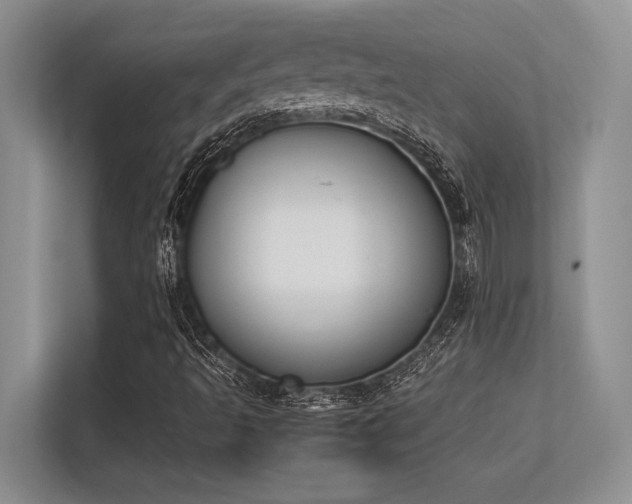 X0000113351493200909221133