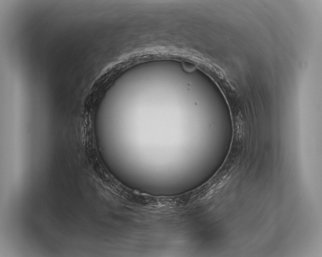 X0000113351494200909221133