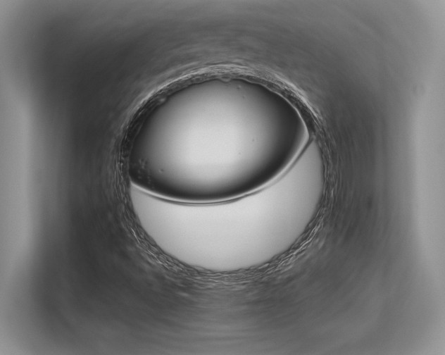 X0000113351496200909221133