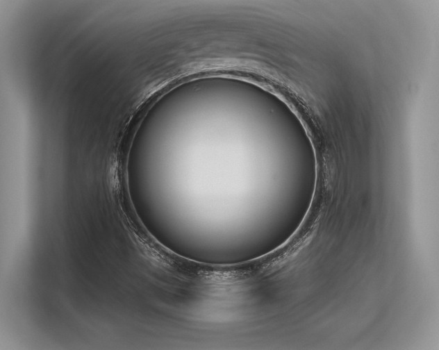 X0000113351497200909221133