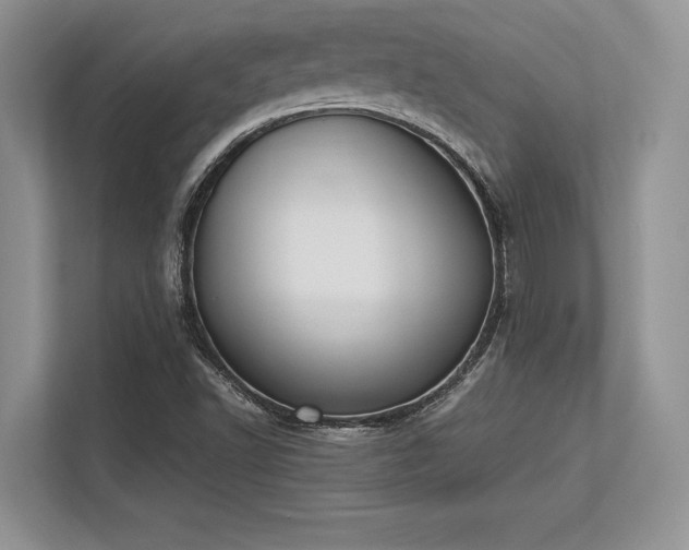X0000113351502200909221133