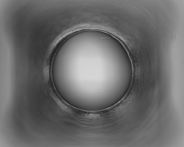 X0000113351503200909221133