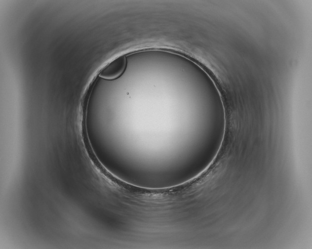 X0000113351508200909221133