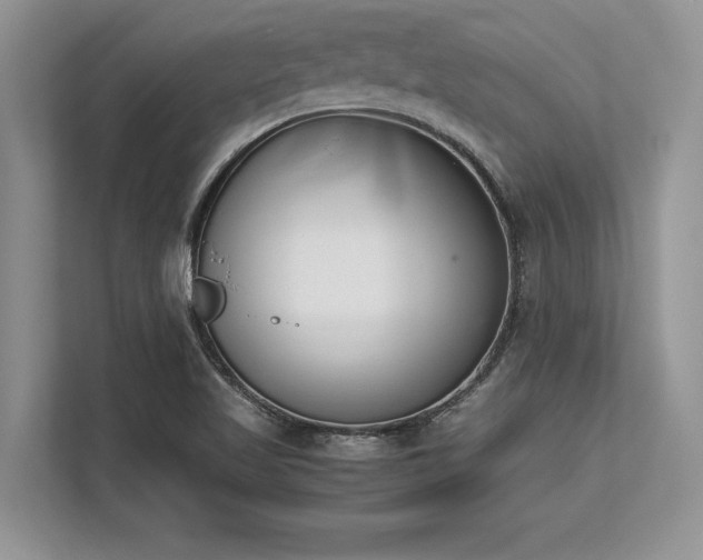 X0000113351509200909221133
