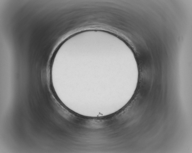 X0000113351514200909221133