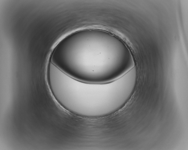 X0000113351520200909221133