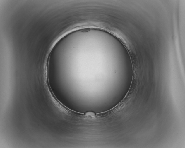 X0000113351524200909221133