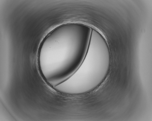 X0000113351525200909221133