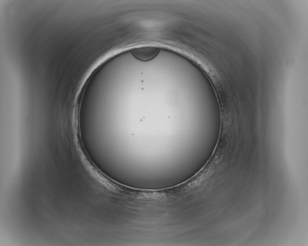 X0000113351526200909221133