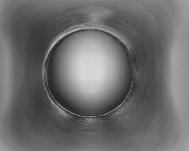 X0000113351527200909221133