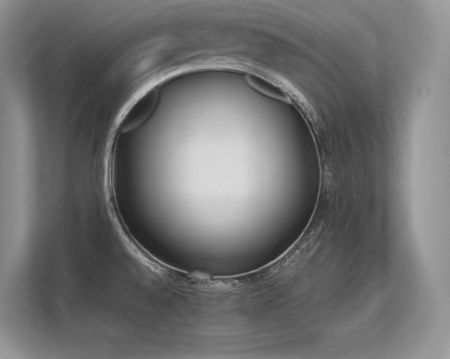 X0000113351528200909221133