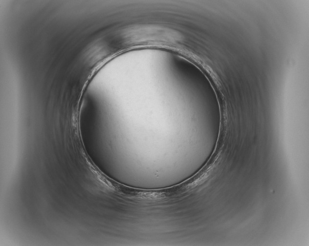 X0000113351529200909221133