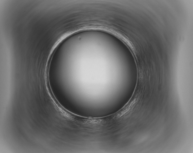 X0000113351533200909221133
