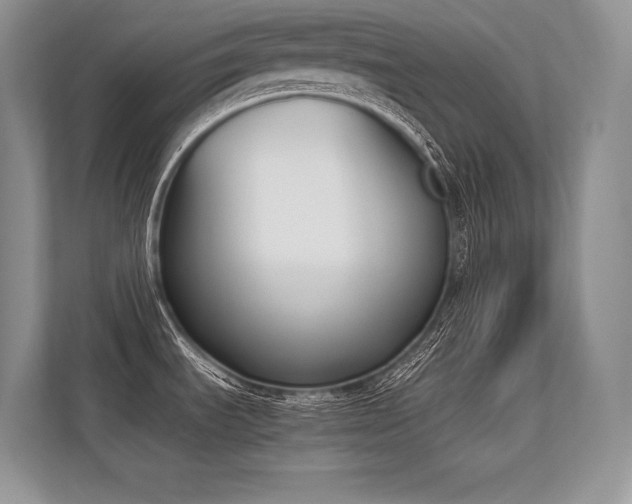 X0000113351535200909221134