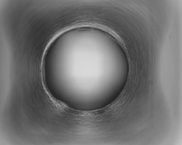 X0000113351536200909221134