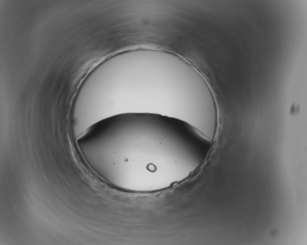 X0000113350001200909291106