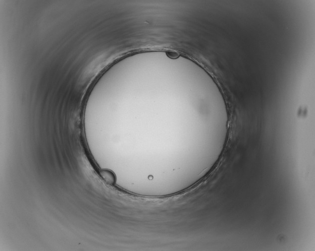 X0000113350002200909291106