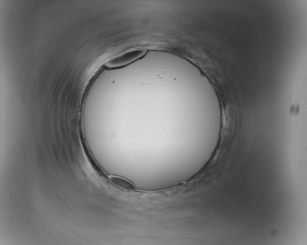 X0000113350003200909291106