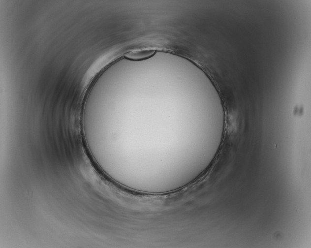 X0000113350004200909291106