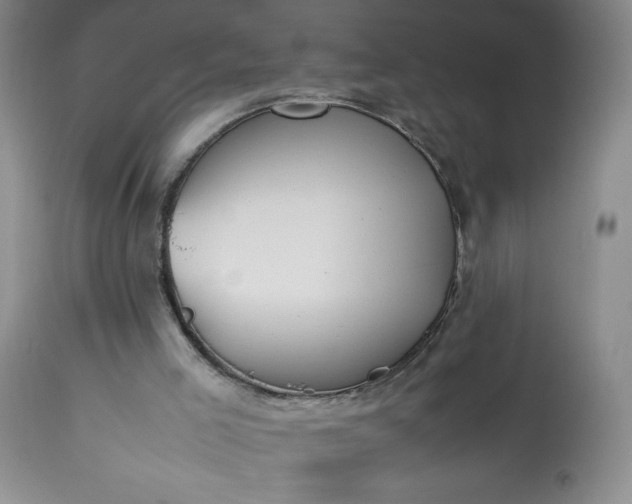 X0000113350005200909291106