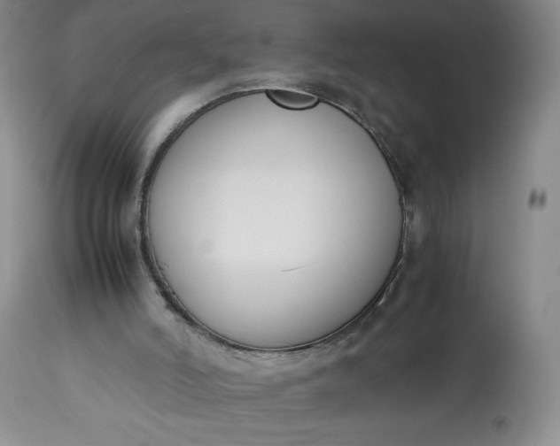 X0000113350006200909291106