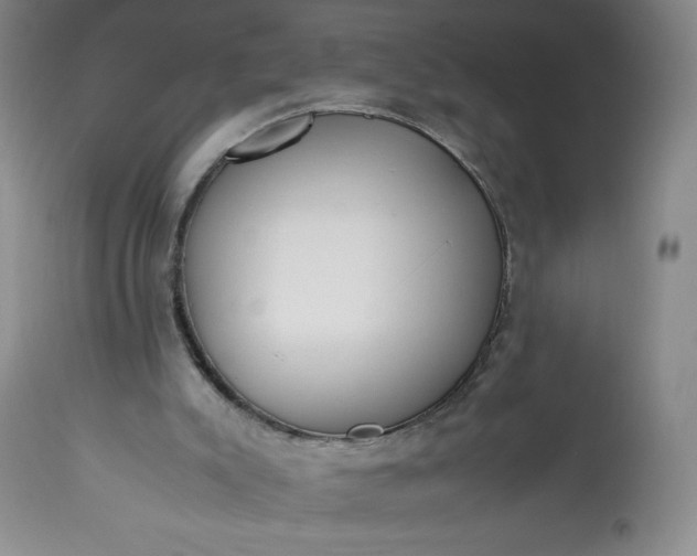 X0000113350007200909291106