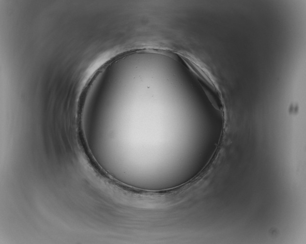 X0000113350008200909291106