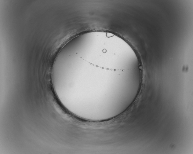 X0000113350009200909291106