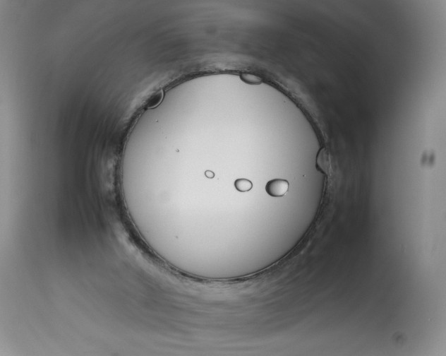 X0000113350010200909291106