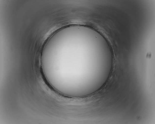 X0000113350011200909291106