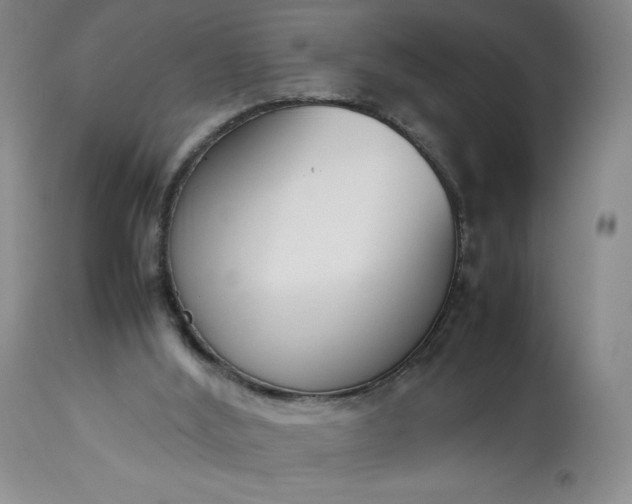 X0000113350012200909291106