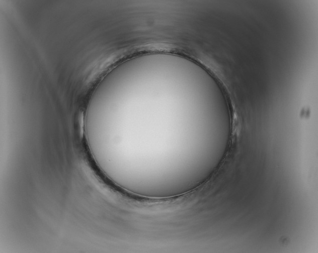 X0000113350013200909291106