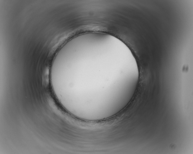 X0000113350014200909291106