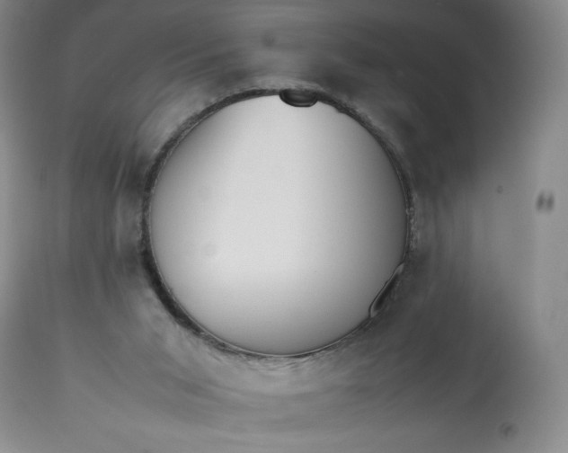 X0000113350015200909291106