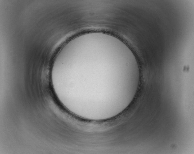 X0000113350016200909291106