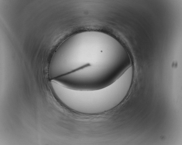 X0000113350017200909291106