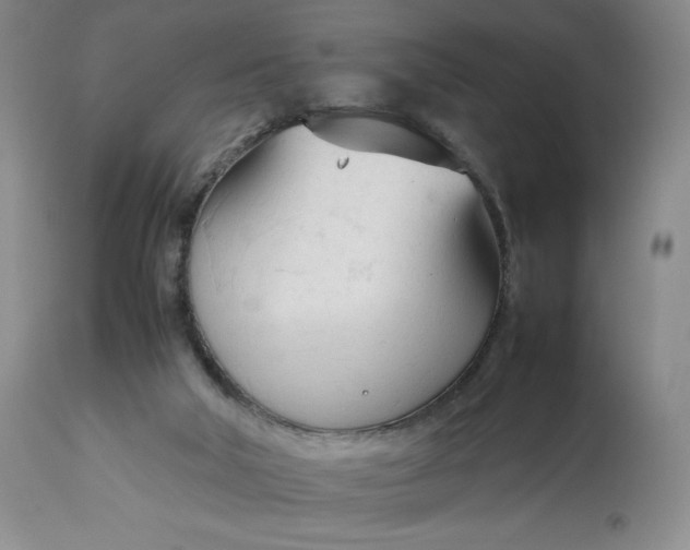 X0000113350018200909291106