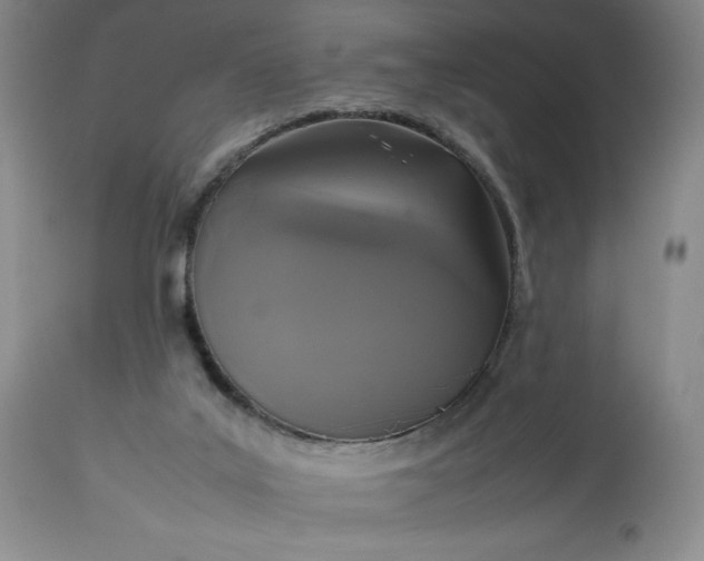 X0000113350019200909291106