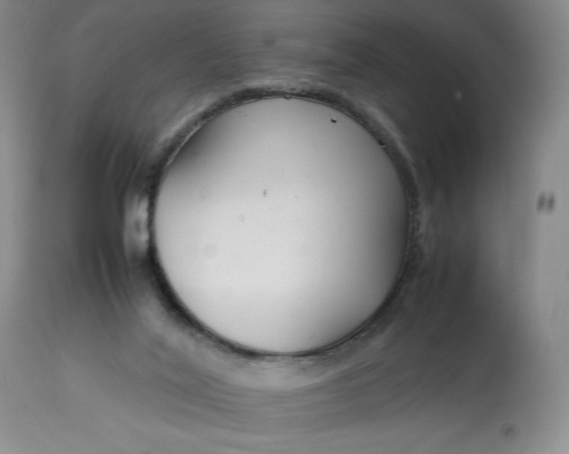 X0000113350020200909291106