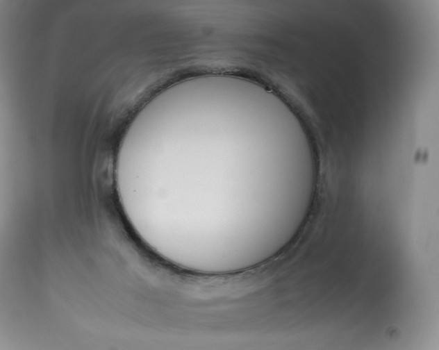 X0000113350021200909291106