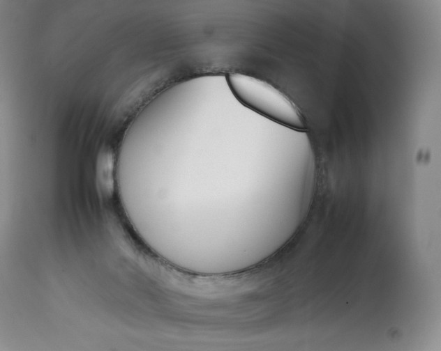 X0000113350022200909291106