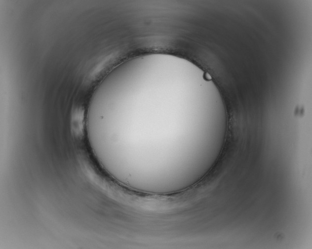 X0000113350024200909291106