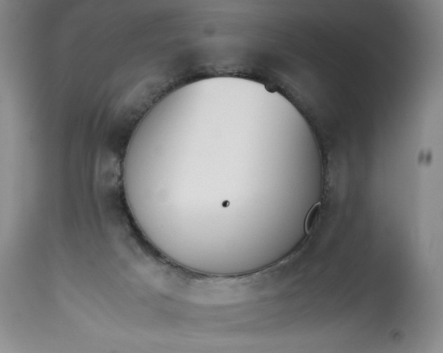 X0000113350025200909291106