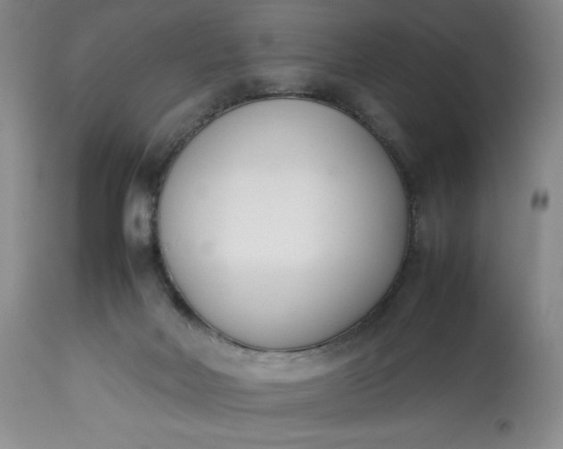 X0000113350026200909291106